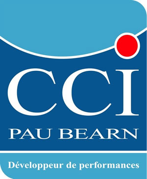 Conférence à la CCI de Pau : Web design et ergonomie