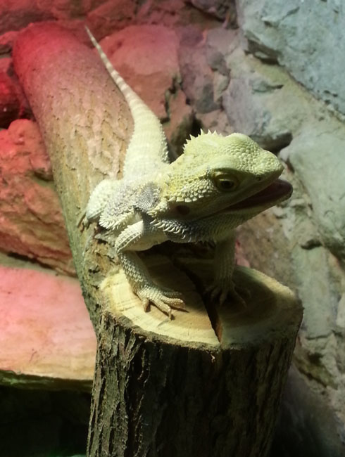 Journée Corpo de fin d&rsquo;année pour MyWebShop