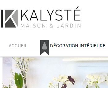 Mise en ligne du site Internet de Kalyste, décoration intérieure, extérieure et plantes artificielles
